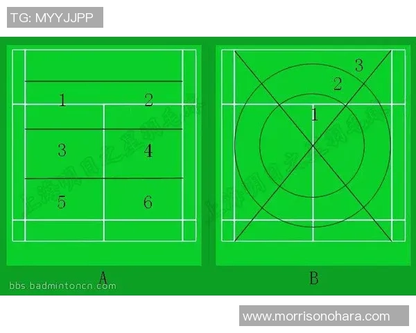 深入分析杭州羽毛球队控制打法的战术特点与应用策略