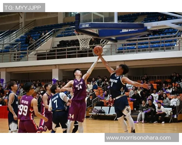 篮球之路：深入解析北京篮球队球员的个人能力与团队协作