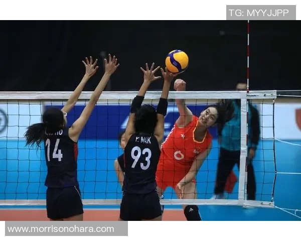 西安排球队的拼搏历程与冠军赛背后的故事分享