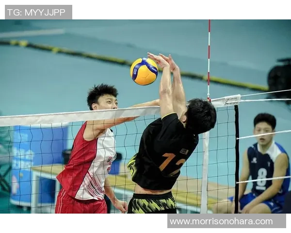 排球热议：重庆排球队的团队协作争议