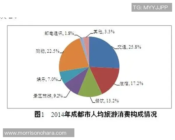 独家分析：成都羽毛球队的比赛经验对比