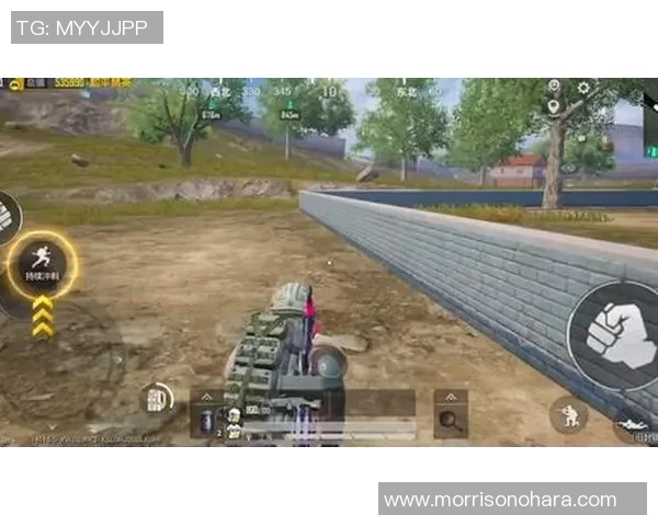 和平精英战术：LNG的边路渗透体系_1