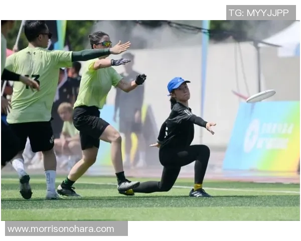 飞盘热点：解读武汉飞盘队的节奏