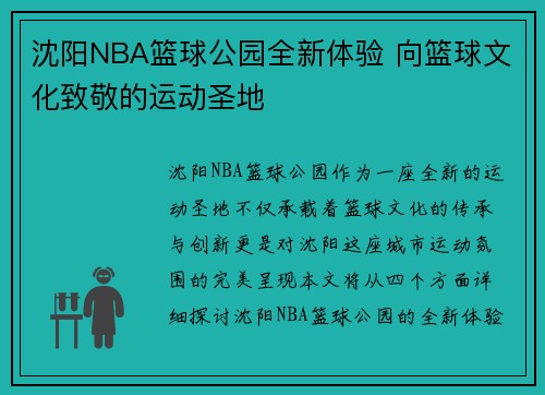 沈阳NBA篮球公园全新体验 向篮球文化致敬的运动圣地