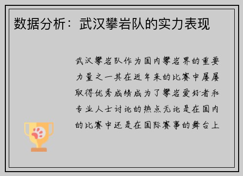 数据分析:武汉攀岩队的实力表现